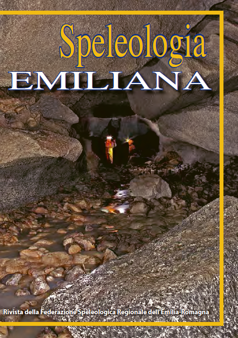 Speleologia Emiliana n° 2 - 2011