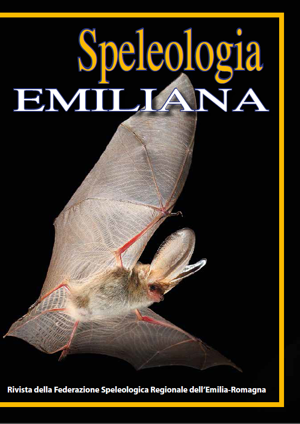 Speleologia Emiliana n° 4 - 2013